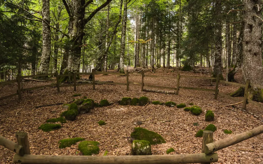 Selva de Oza i Corona de los muertos